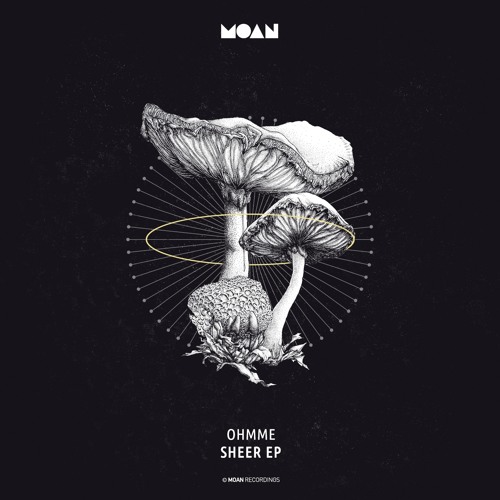 Ohmme - Sheer (Original Mix)