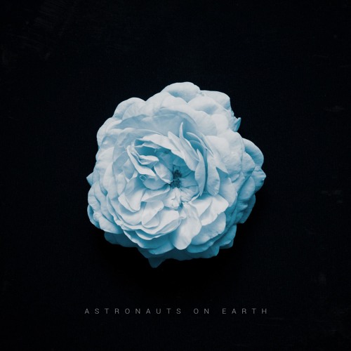 Astronauts On Earth