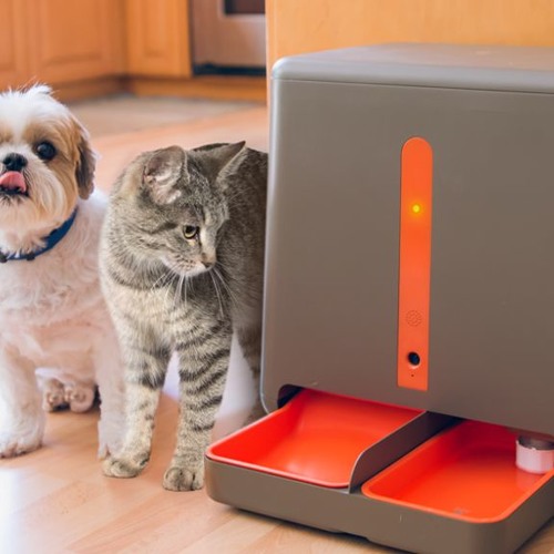 Stream Arf Pets Automatic Pet Feeder Review by Tech Review Listen