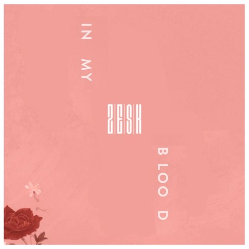 Shawn Mendes -In My Blood (ZESK REMIX)