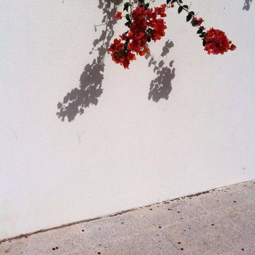 • Vietsub • Even If The Flowers Are Not Ever Forgotten To You • Swing