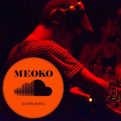 MEOKO Exclusive Podcast: Silverlining