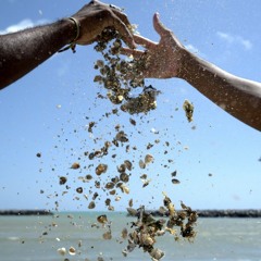 Hip Hop braucht kein Mensch. Aber Mensch braucht Hip Hop.