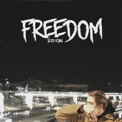 ICED KING - FREEDOM (prod. by SWIFTNESS2H x K808)