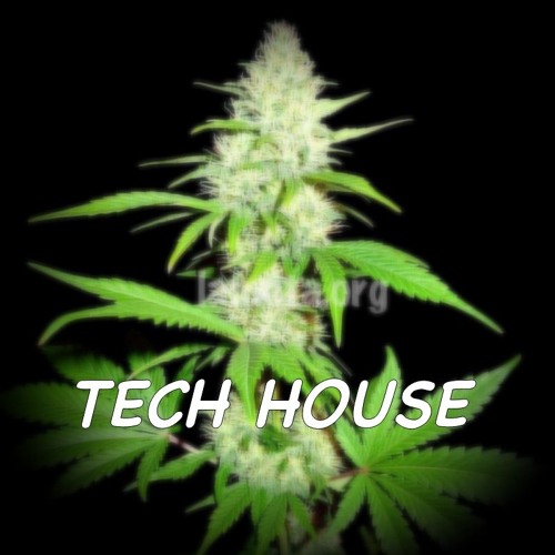 Tech house ganja mix - FreeDownload