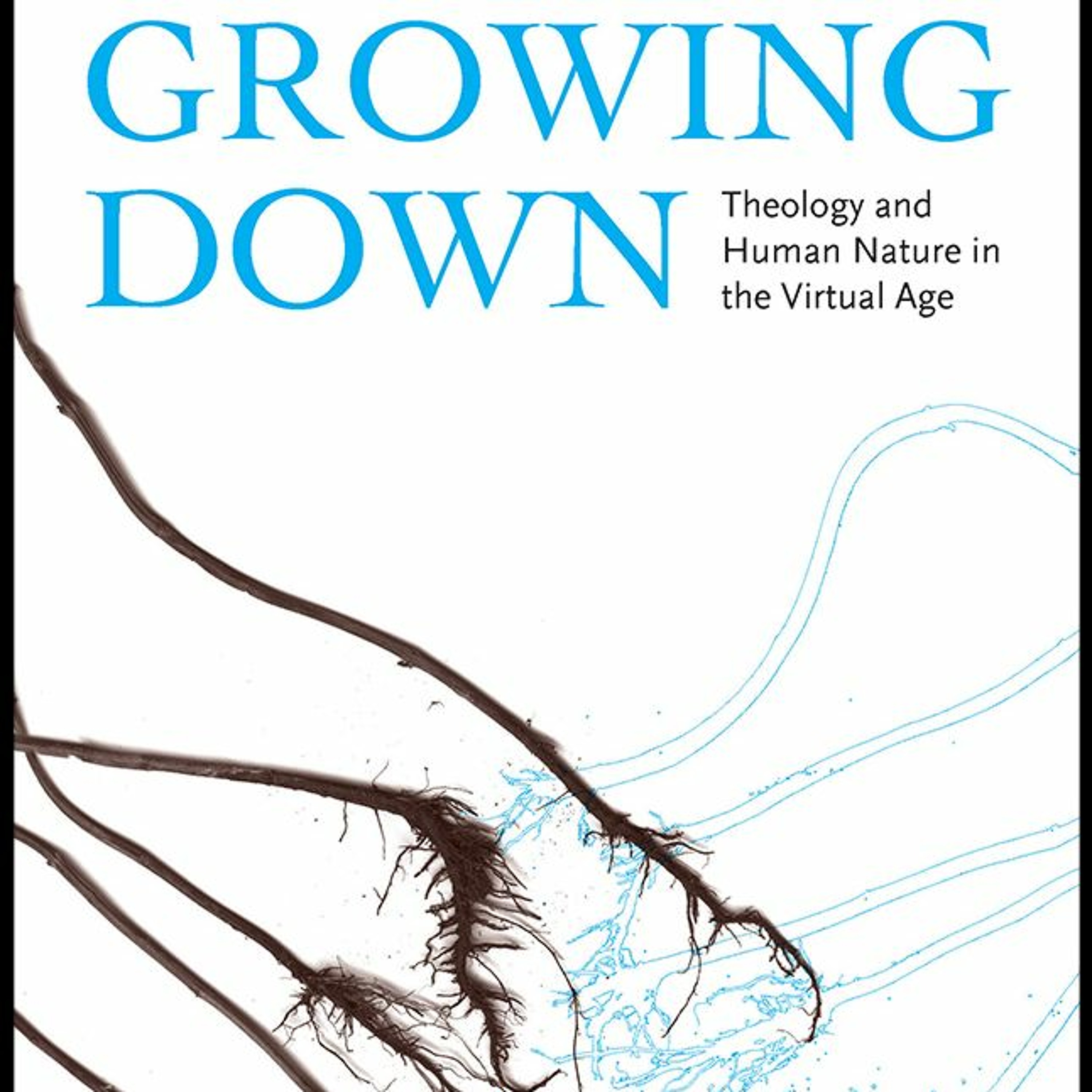 Jaco Hamman, PhD, "Faith & Phones" episode artwork
