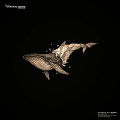 Bora, Ottexx - Without You (Mark Hoffmann Remix)