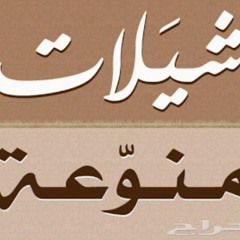 شيلة   يا وجد حالي   أداء - فلاح المسردي Low