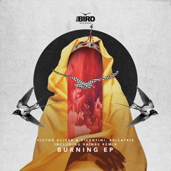 Victor Oliver & Vicentini, Bellatriz - Burning (Rainbe Remix) | the BIRD Records