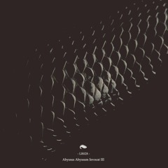 04 CONDENSED UTOPIA - Leather Strip