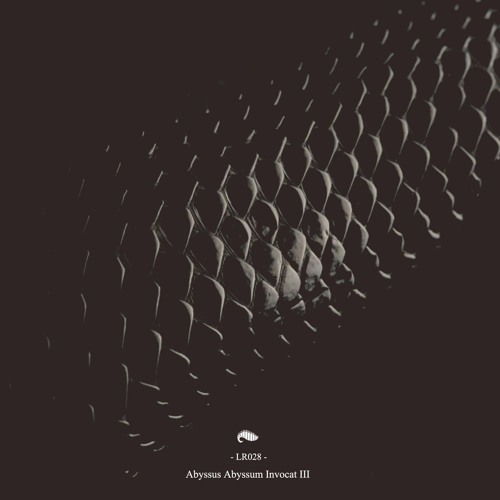 05 QUERMESS - Nod To The Moon