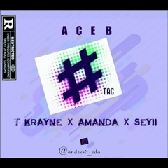 ACE.B #Tag(ft T-krayne,Amanda and seyii salvandor)