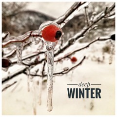 Deep Winter (Original Mix)