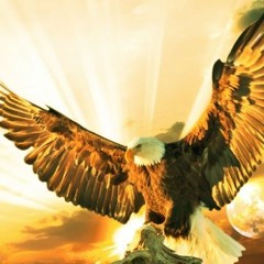 Caboclo Águia Dourada - Danilo Medeiros