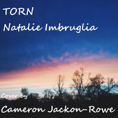 Torn - Natalie Imbruglia [Cover]
