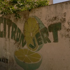 Rare Grooves From French West Indies (Cadence, Tumbélé, Biguine, Compas, Afro Cuban,...)