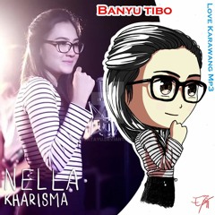 Nella Kharisma - Banyu Tibo [Lovekarawangmp3]