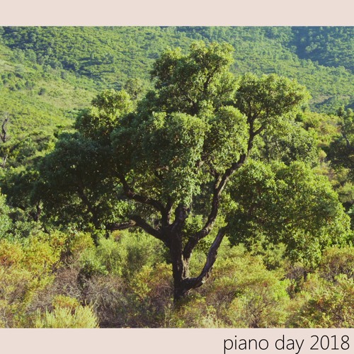 Felt Study #1 / Bloom 1 (Piano Day 2018)
