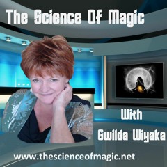 TSOM: Dr. Derrick MacFabe MD FACN - Autism, Biological Sustainability and the War on Bugs