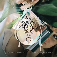 Through Juniper Vale - Everything is Color