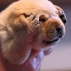 Episode 6: The Fuse Box (3/27/2018)