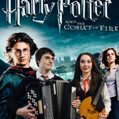 Harry Potter dubstep Accordion & Domra / Гарри Поттер тема на Аккордеоне (баян) и Домре