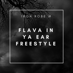 Flava In Ya Ear (Iron Robe Freestyle)