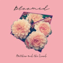 Bloomed