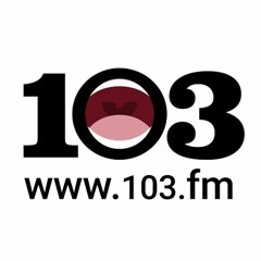 103FM  גיא פלג