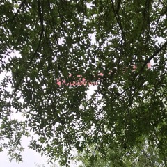 Japanese Keys - TTG JT x Yung Ghost (prod. @supalilghost)