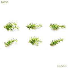 DIGGIT Feat. ISH & Kacajun - Running