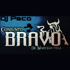 Conjunto Bravo De Marcelo Vega - La Zorra Salvaje