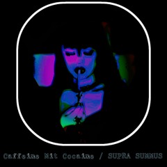 Supra Summus (feat. Diamanda Galás)