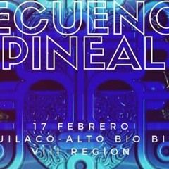 Frecuencia Pineal DjSet Festival