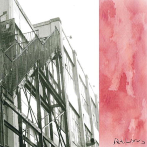 pet library - house parties pt. II