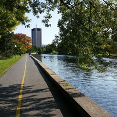 The River