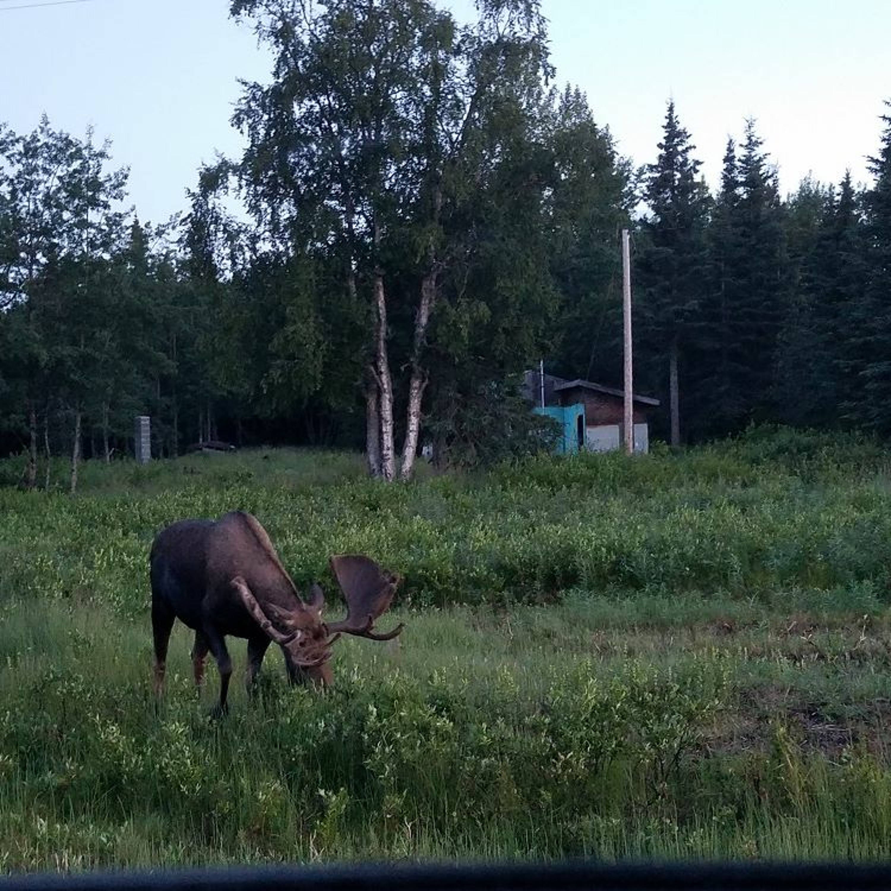 Season 1 - Episode 3 -