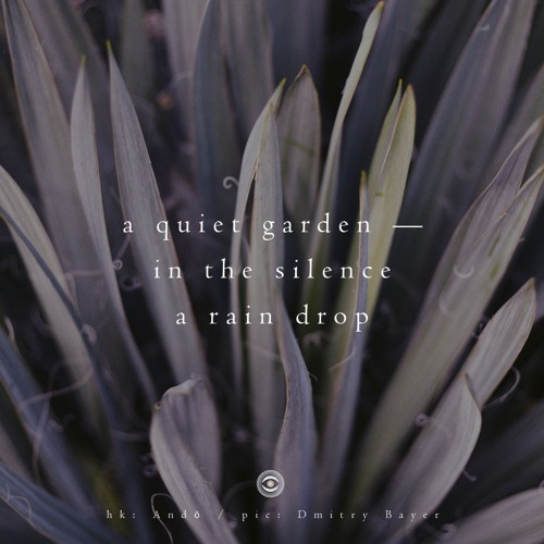 A quiet garden — / in the silence / a rain drop (naviarhaiku220)