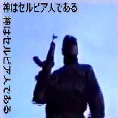 セルビSHELL