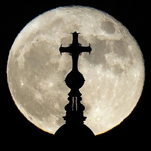 +++🌘M O O N 🌘 +++ (RIP W.I)