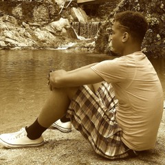 V.O.W.S (Virtues Overlooked, We're Stagnant)