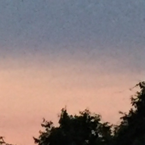 HEMI-SYNC/MONKEY SEQUENCE19 Remix