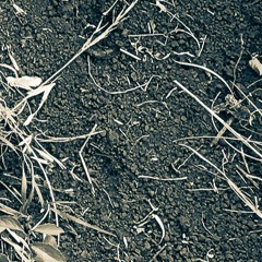 MONTPARNASSE 1 Mouvement