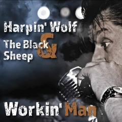Harpin' Wolf & The Black Sheep - The Things That Matter (Studio Recording)