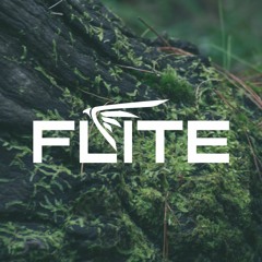 Flite DNBRadio 2017 Guest Mix