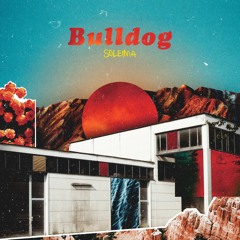 Bulldog