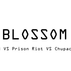 Mood VS Prison Riot VS Chupacabra Marshmello Mashup At Ultra Music Festival Miami 2018