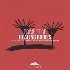 Prime Edge - Healing Bodies (Original Mix)