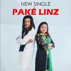 Pake LinZ Remix...DEEJAY MANISH...