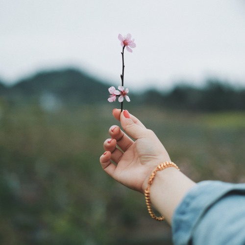 Empowering To Create A Greater Future